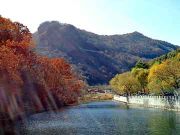 澳门二四六天天彩图库，上海排水板